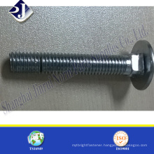 stainless steel 304 m12 carriage bolt